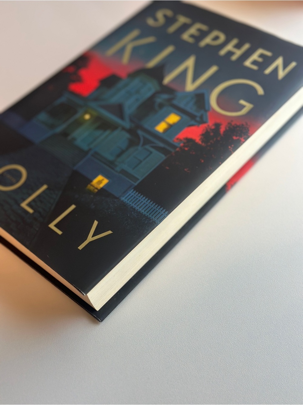Holly by Stephen King | Fiction, Thriller | Hardcover Book - Picture 7 of 11